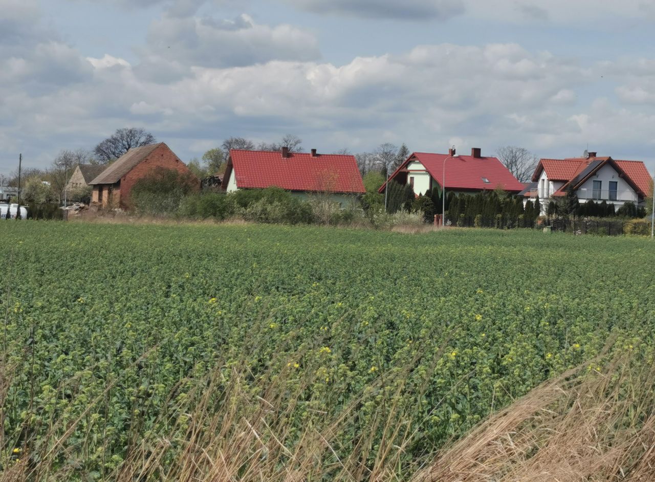 Działka budowlana Nowosiedlice. Zdjęcie 5