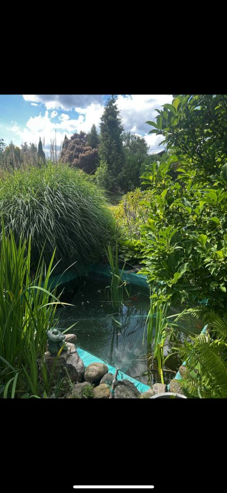 Działka rod Tarnobrzeg Wymysłów. Zdjęcie 7