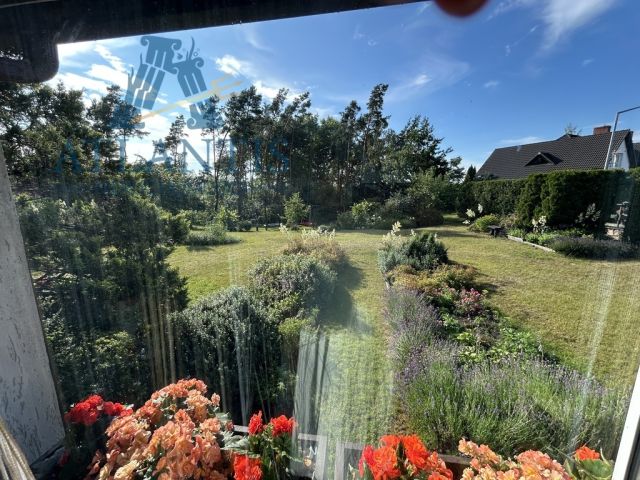 dom wolnostojący, 6 pokoi Raciąż. Zdjęcie 16