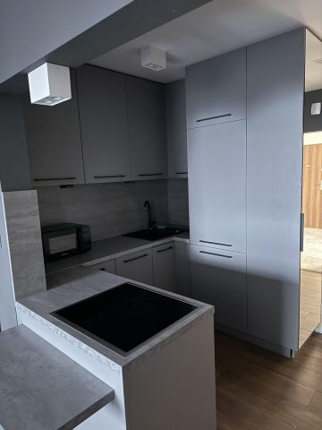 Mieszkanie 1-pokojowe Katowice Ochojec, ul. Ziołowa. Zdjęcie 3