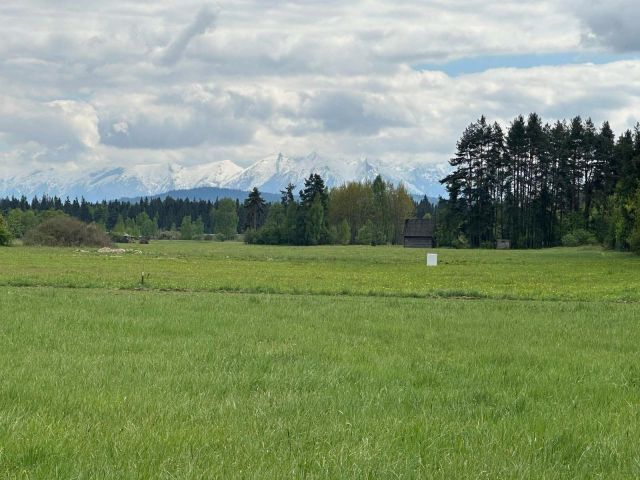 Działka budowlana Łopuszna, ul. Adama Mickiewicza. Zdjęcie 1