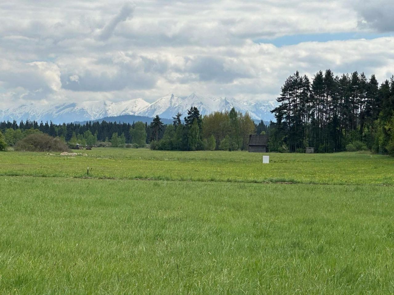 Działka budowlana Łopuszna, ul. Adama Mickiewicza. Zdjęcie 1