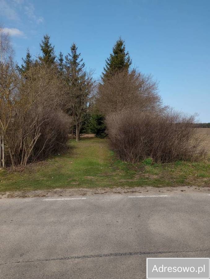 Działka budowlana Wejsuny. Zdjęcie 2
