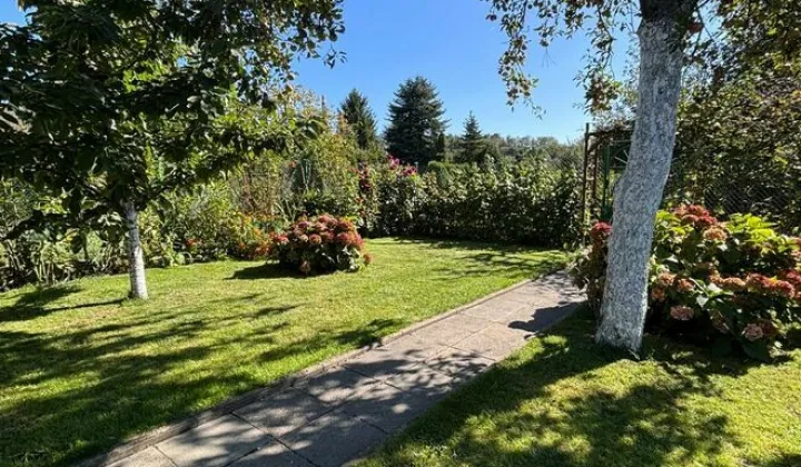 Działka rod Siemianowice Śląskie Bytków