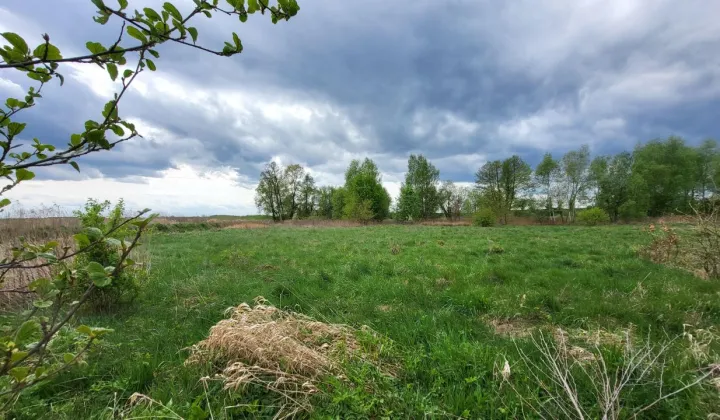 Działka budowlana Górzyn