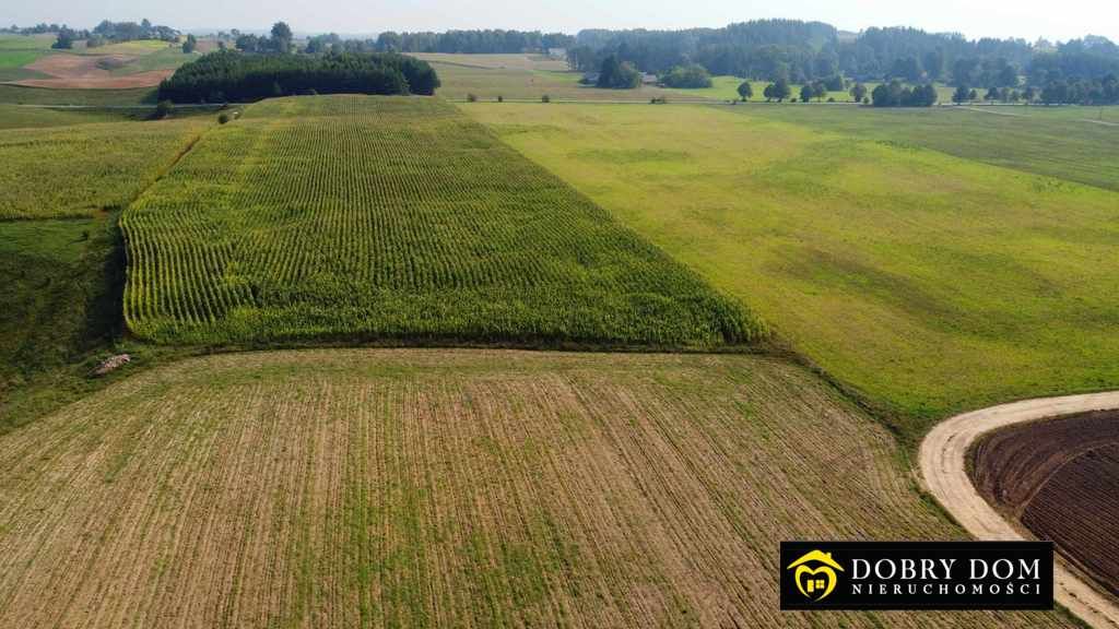 Działka Sidorówka. Zdjęcie 6