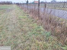 Działka budowlana Jasieniec. Zdjęcie 1