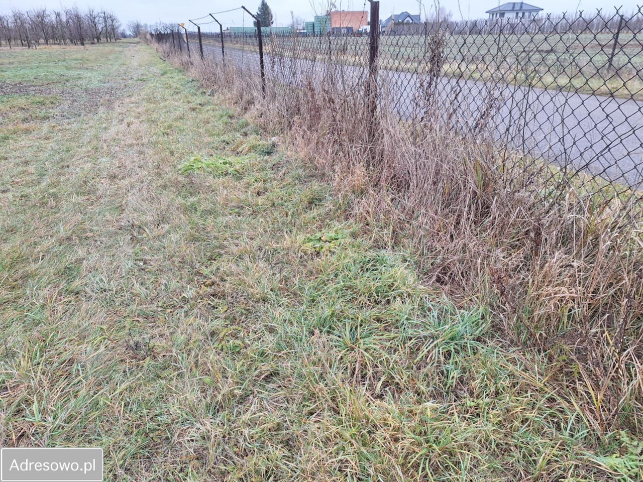Działka budowlana Jasieniec. Zdjęcie 2