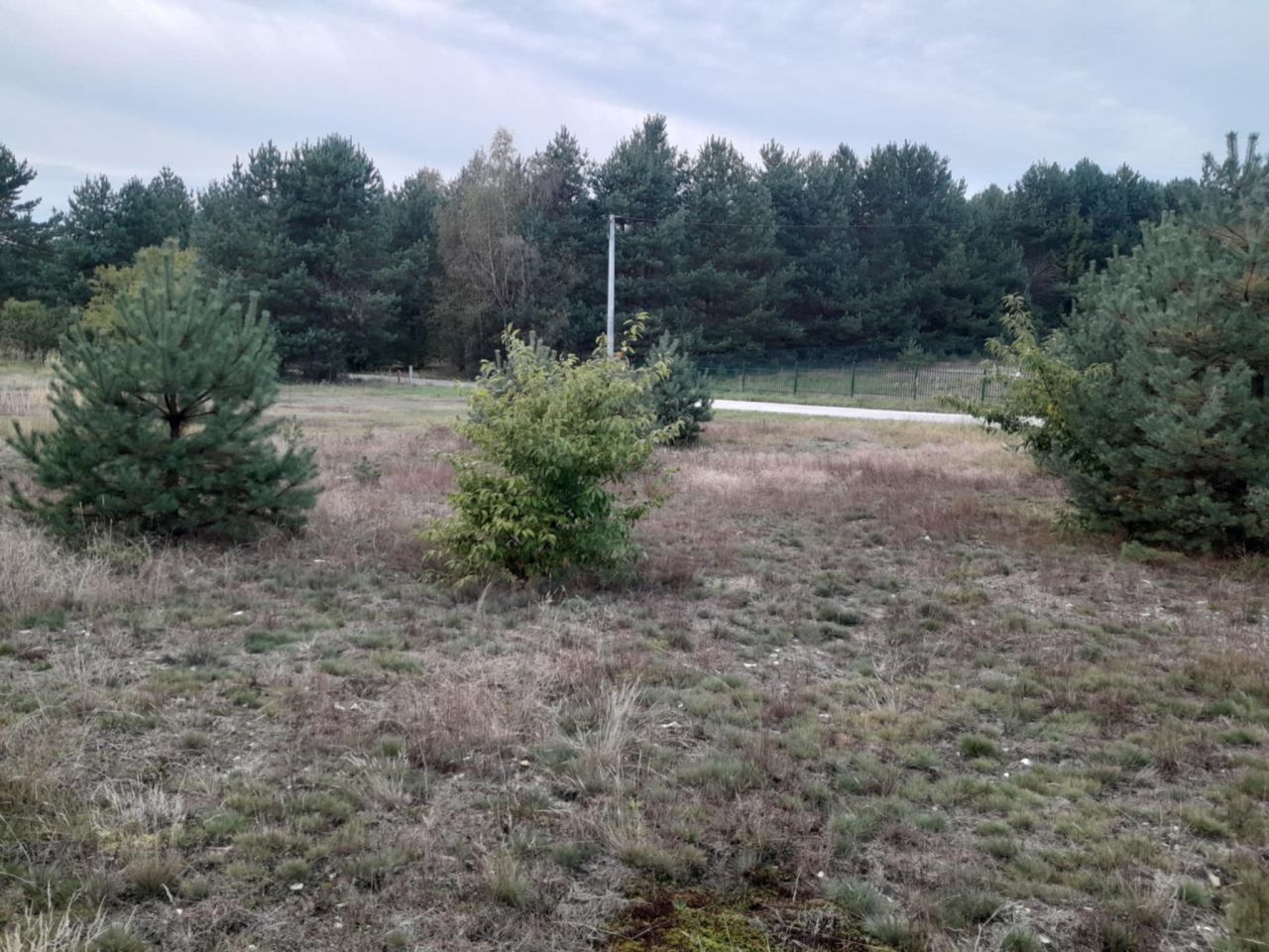 Działka budowlana Hucisko, ul. Wrzosowa. Zdjęcie 7