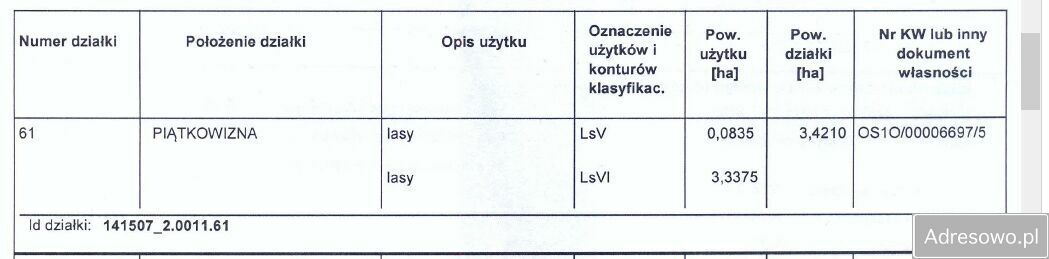 Działka leśna Piątkowizna. Zdjęcie 2