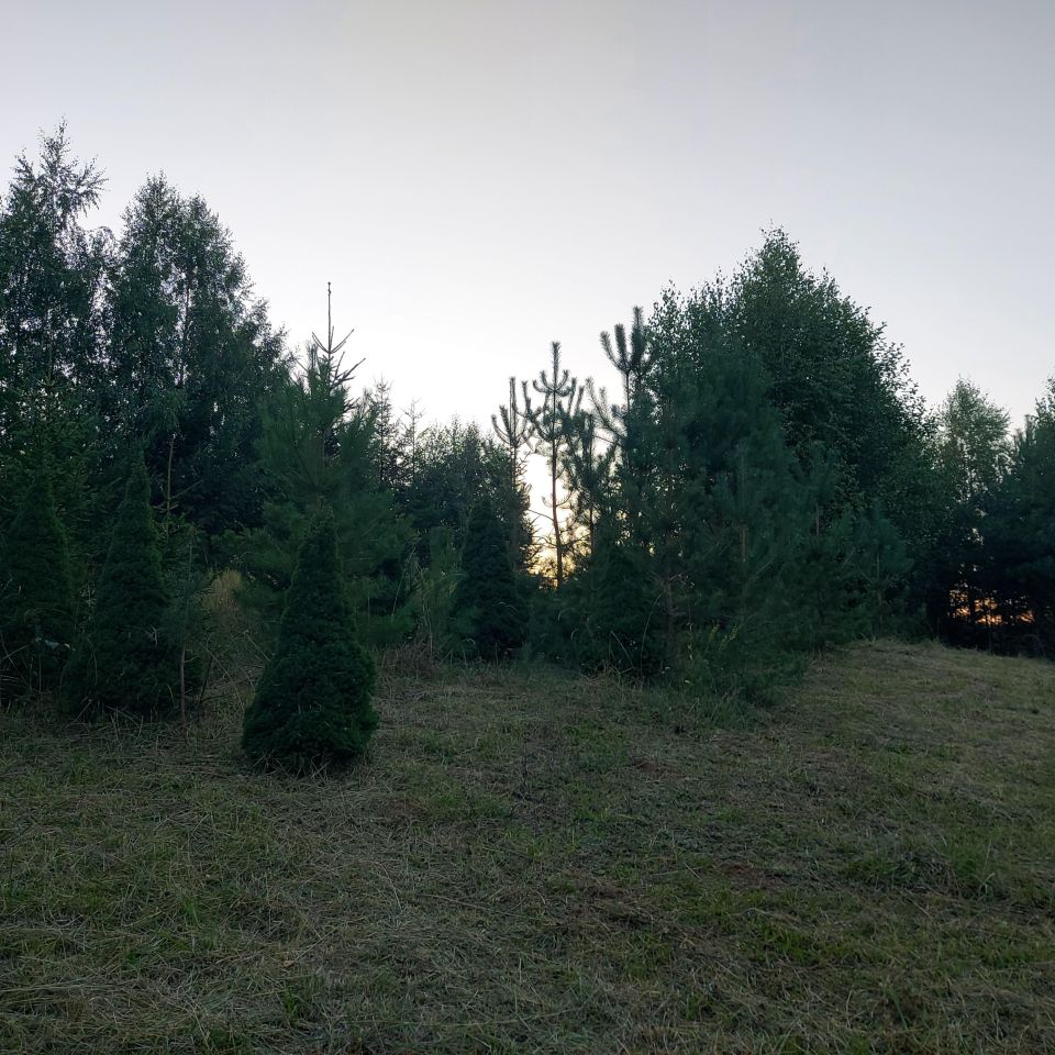 Działka rekreacyjna Oszkinie. Zdjęcie 13