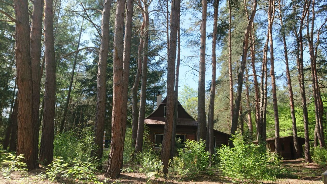 Działka budowlana Gąsiorowo, ul. Jodłowa. Zdjęcie 7