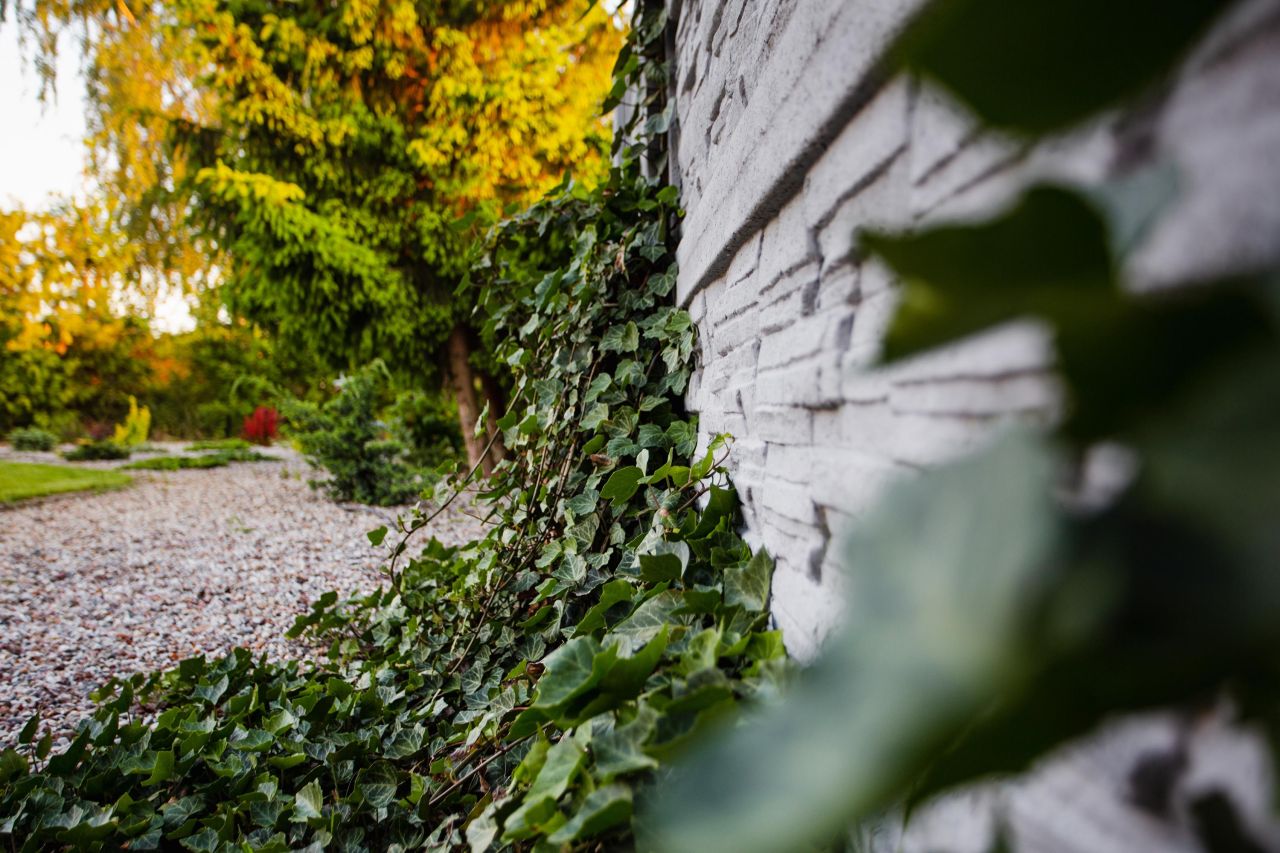 dom wolnostojący, 5 pokoi Łabiszyn. Zdjęcie 11