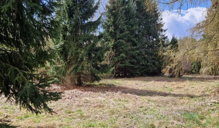 Działka siedliskowa Gzin