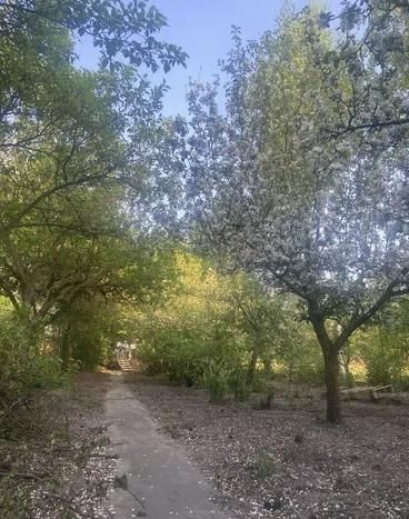 dom wolnostojący, 6 pokoi Radom Halinów, ul. Kielecka. Zdjęcie 5