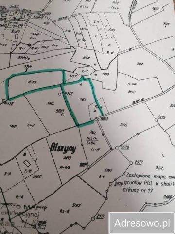 Działka leśna Godowa. Zdjęcie 1