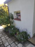 Działka rod Komprachcice, ul. Chróścińska. Zdjęcie 4