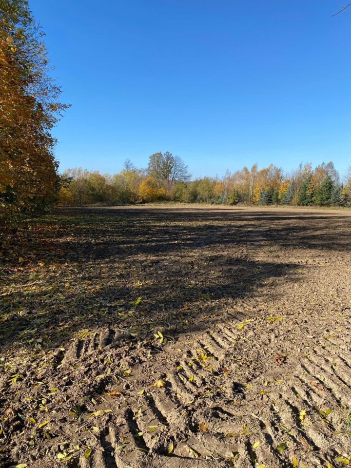 Działka budowlana Biedrzychowice. Zdjęcie 4