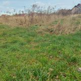 Działka budowlana Spalona, ul. Wiśniowa. Zdjęcie 1