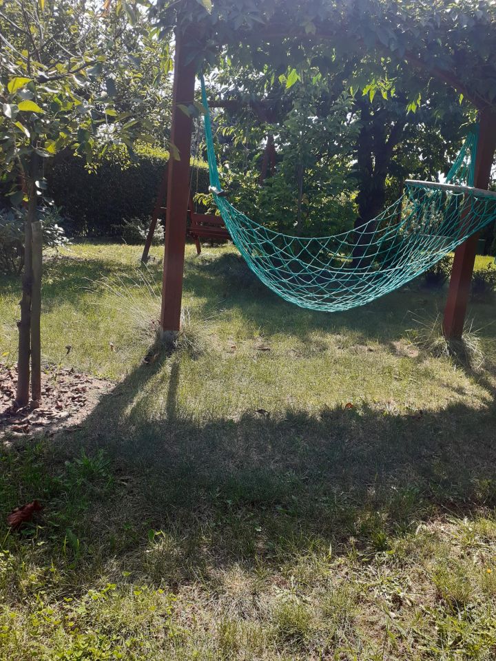 Działka rod Osiek. Zdjęcie 12