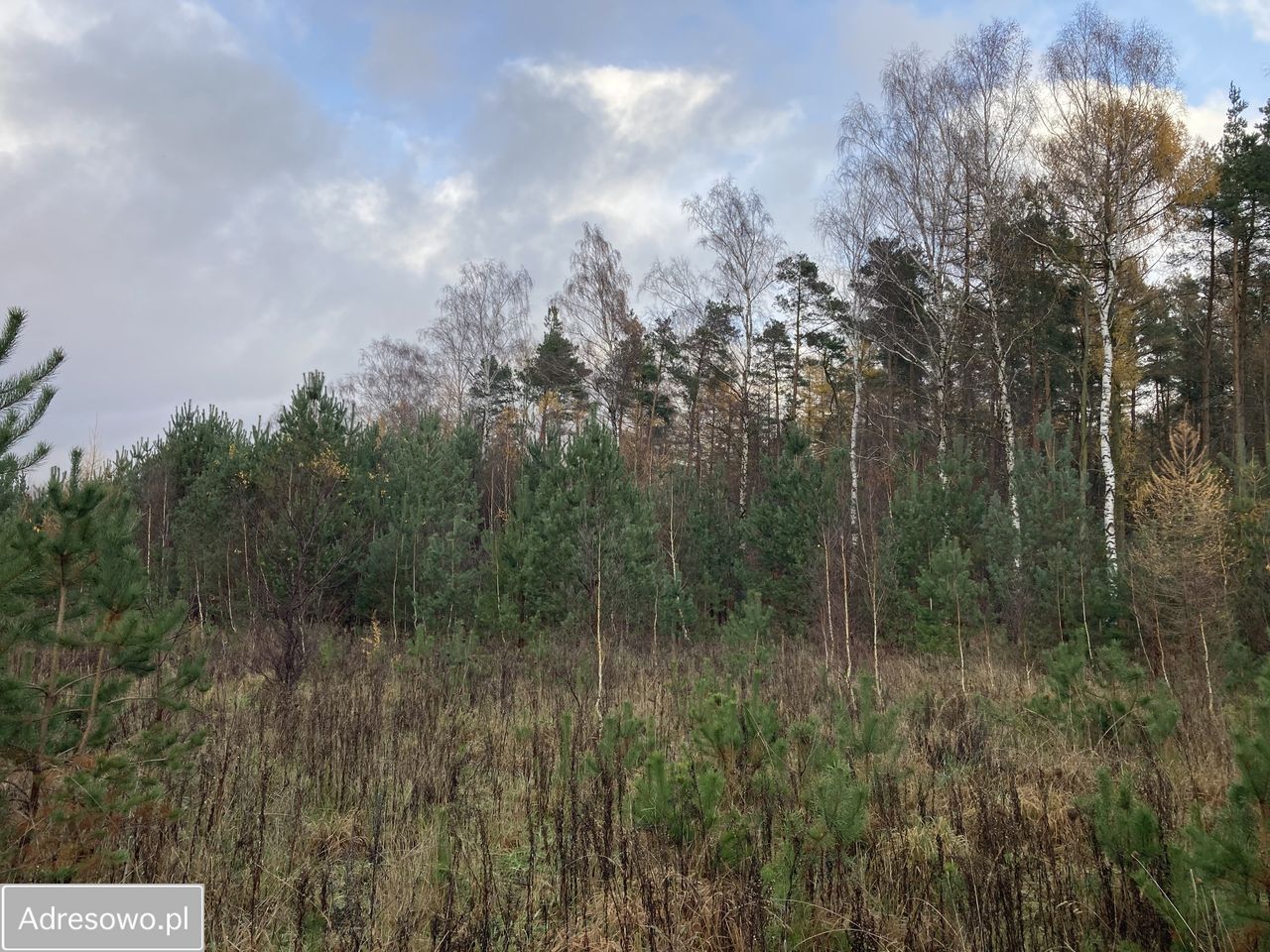 Działka budowlana Banino, ul. Bursztynowa. Zdjęcie 6