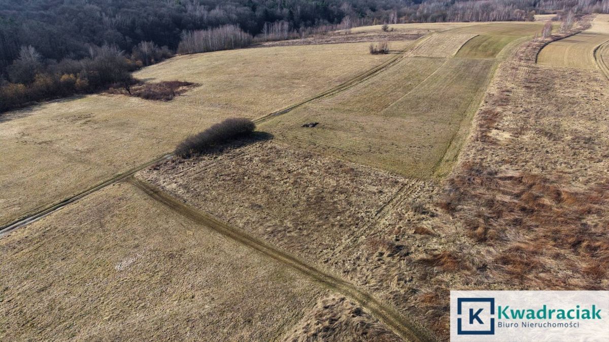 Działka budowlana Nowy Glinik. Zdjęcie 2