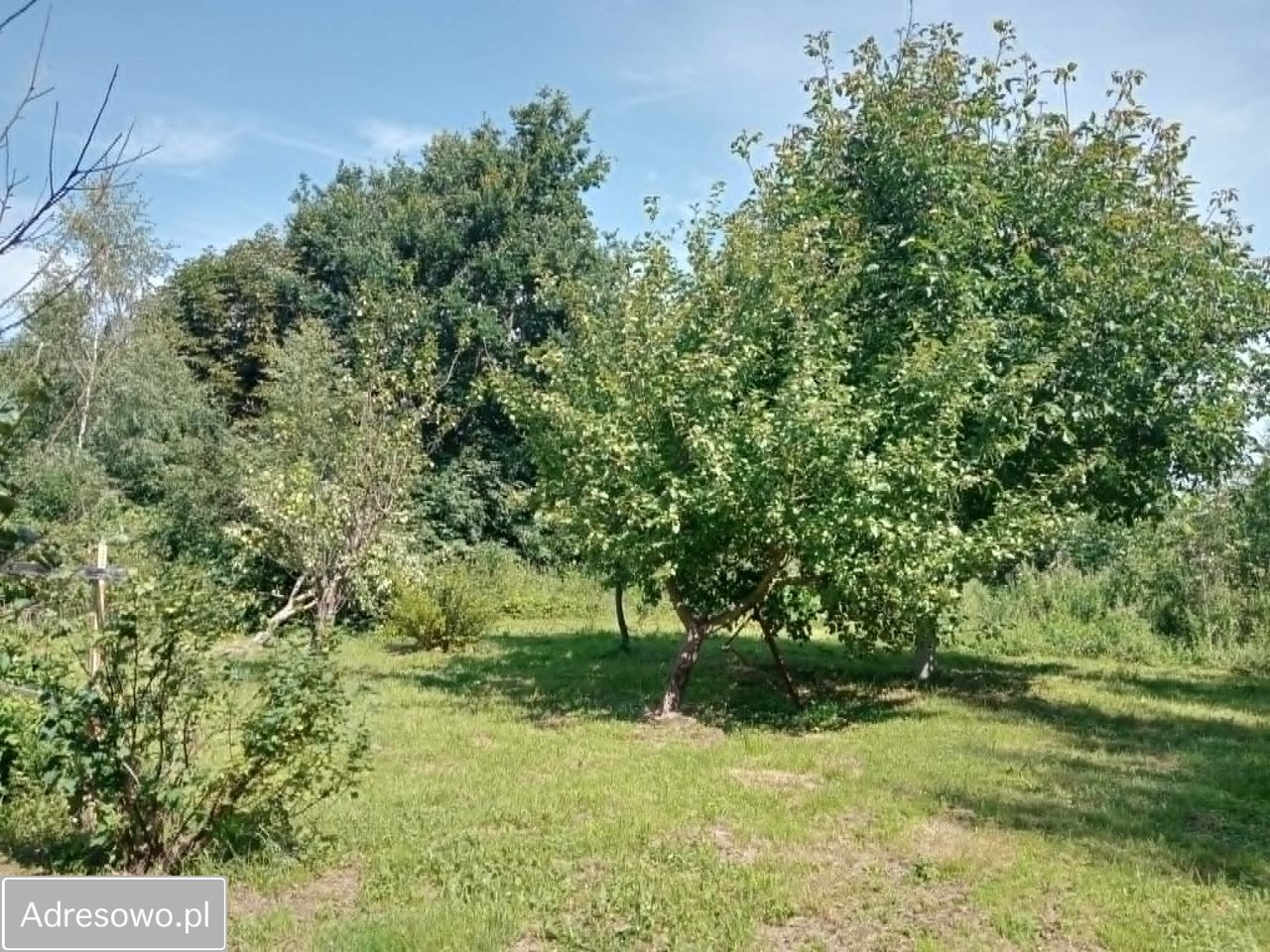 bliźniak, 4 pokoje Gorzyca. Zdjęcie 4