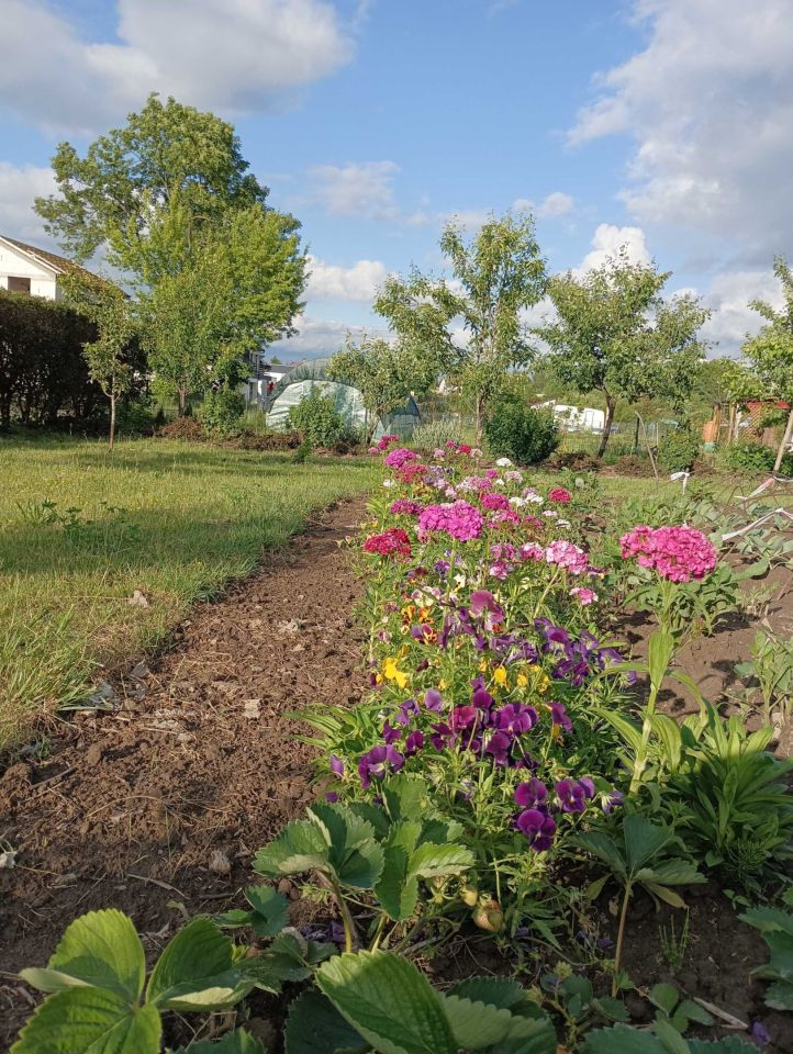 Zdjęcie 6