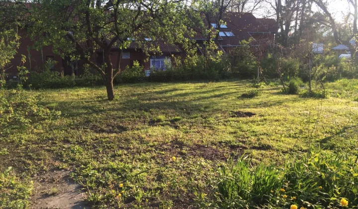 Działka budowlana Dzierżoniów, pl. Konstytucji 3 Maja