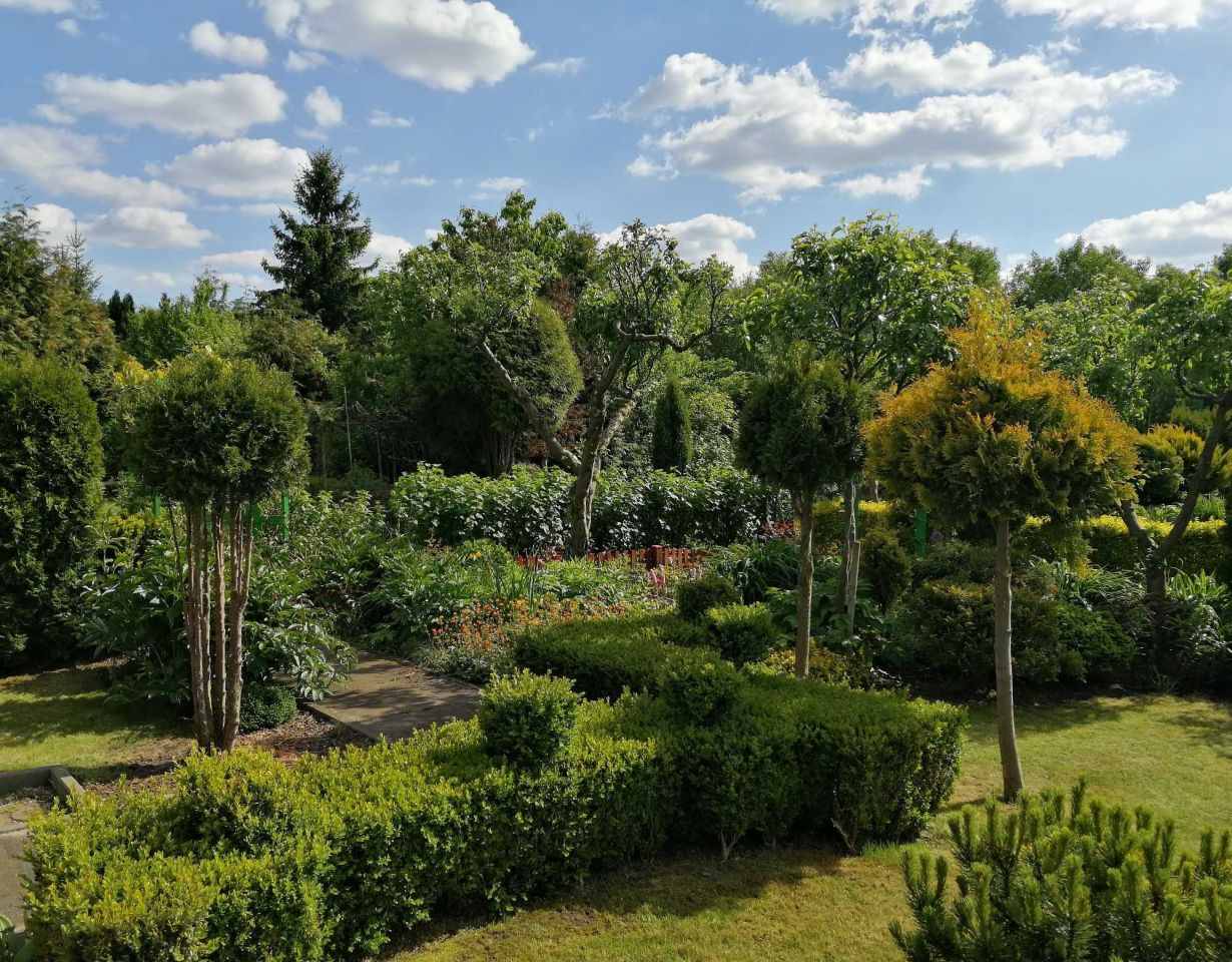 Działka rod Poznań Krzesiny, ul. Jarosławska. Zdjęcie 7