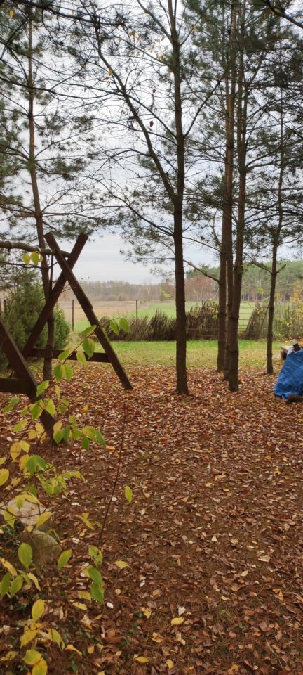 Działka rolna Osada-Wola. Zdjęcie 4