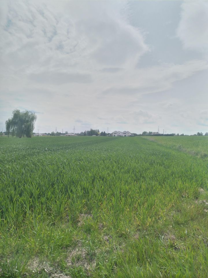 Działka budowlana Podzamcze kolonia. Zdjęcie 6