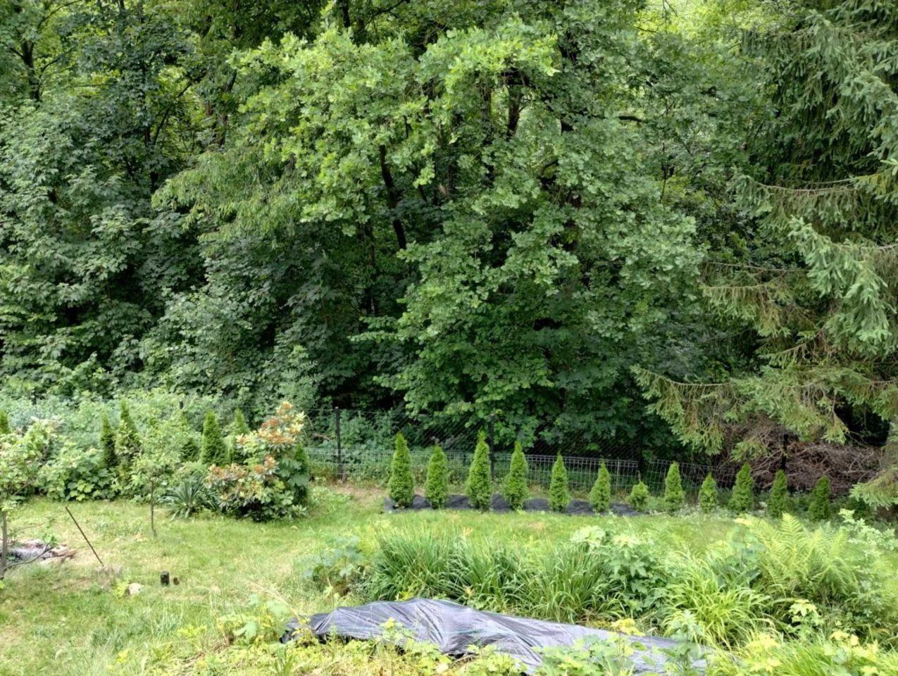 Działka rod Bielsko-Biała. Zdjęcie 4