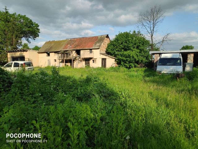 Działka rolna Grodziszów. Zdjęcie 4