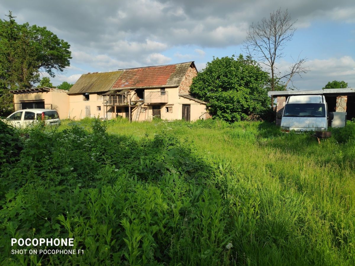 Działka rolna Grodziszów. Zdjęcie 4