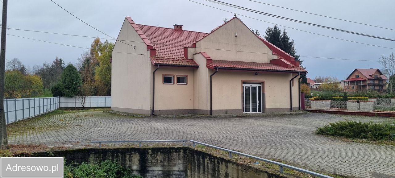 Lokal Róża. Zdjęcie 3