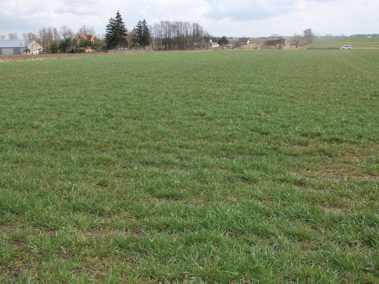 Działka rolno-budowlana Przeździecko-Drogoszewo. Zdjęcie 7