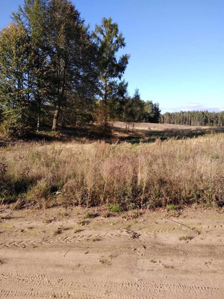 Działka budowlana Łebno. Zdjęcie 7