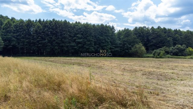 Działka budowlana Stary Wołów. Zdjęcie 18