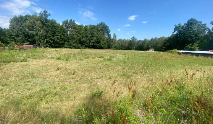 Działka budowlana Nisko Podwolina, ul. Lipowa