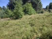 Działka rekreacyjna Pągowiec. Zdjęcie 3