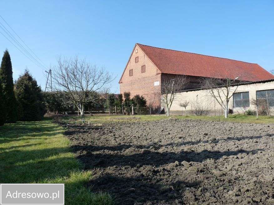 gospodarstwo, 6 pokoi Siedlce. Zdjęcie 8