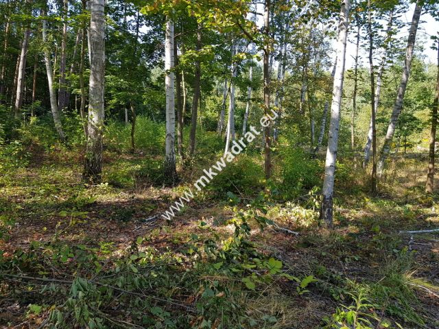 Działka budowlana Żółwin. Zdjęcie 6