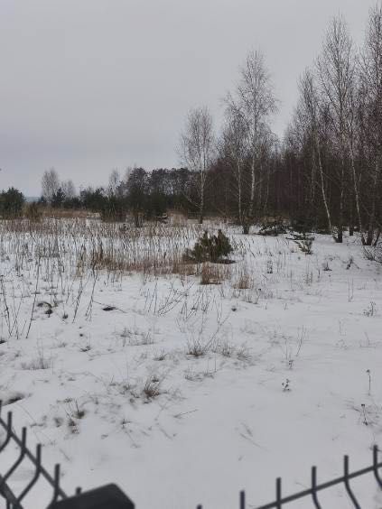 Działka budowlana Bąków. Zdjęcie 3