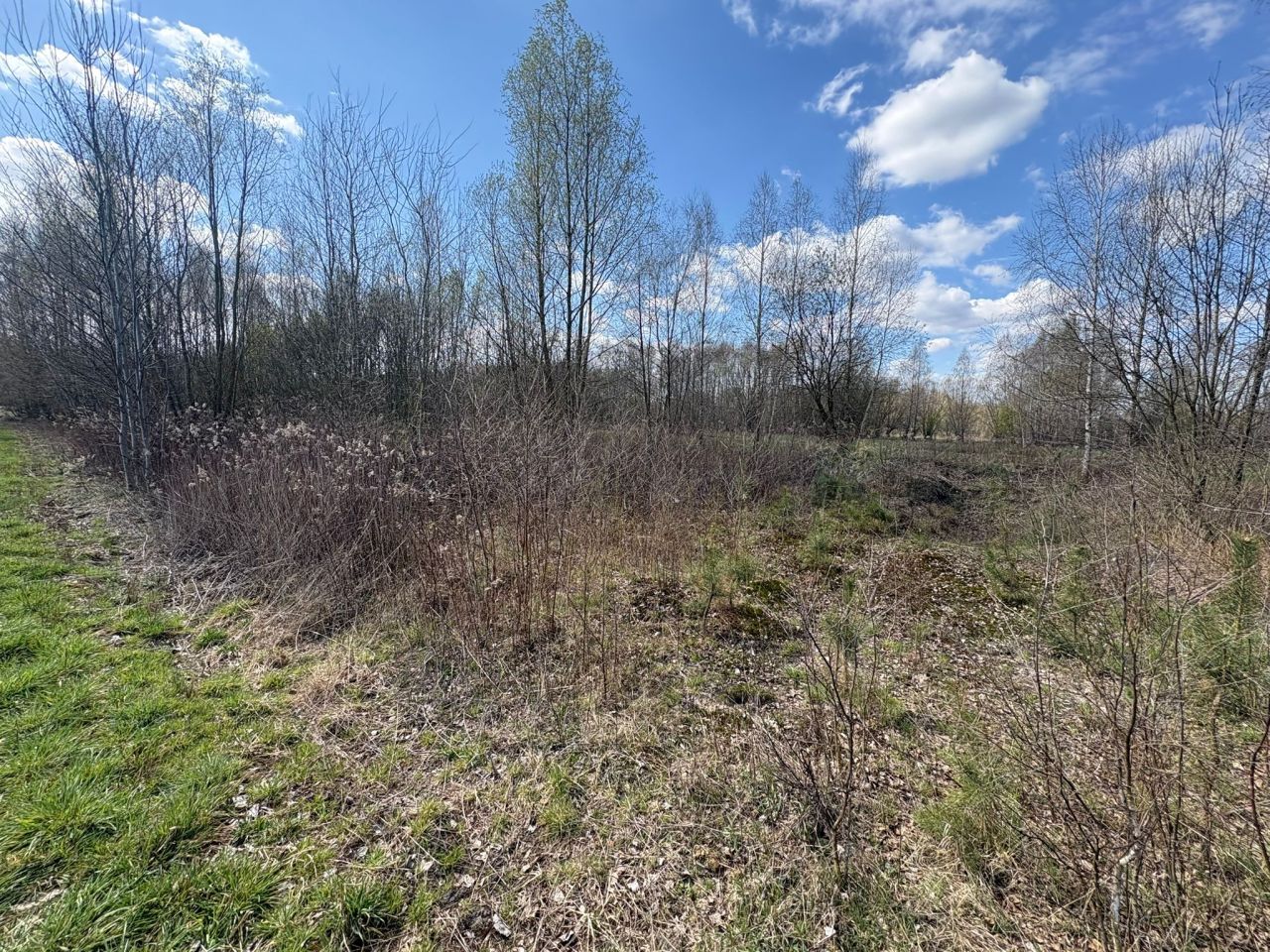 Działka rolna Komory, bez nazwy. Zdjęcie 5