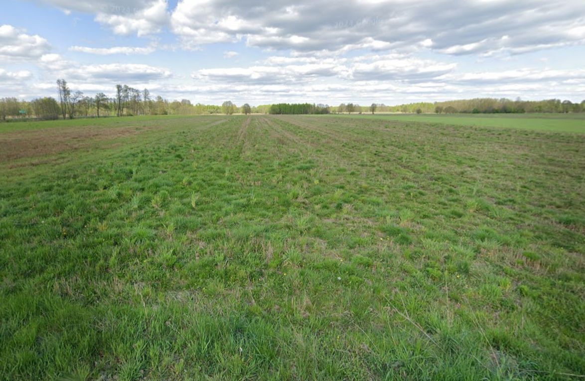 Działka inwestycyjna Strachówka, DK50. Zdjęcie 7