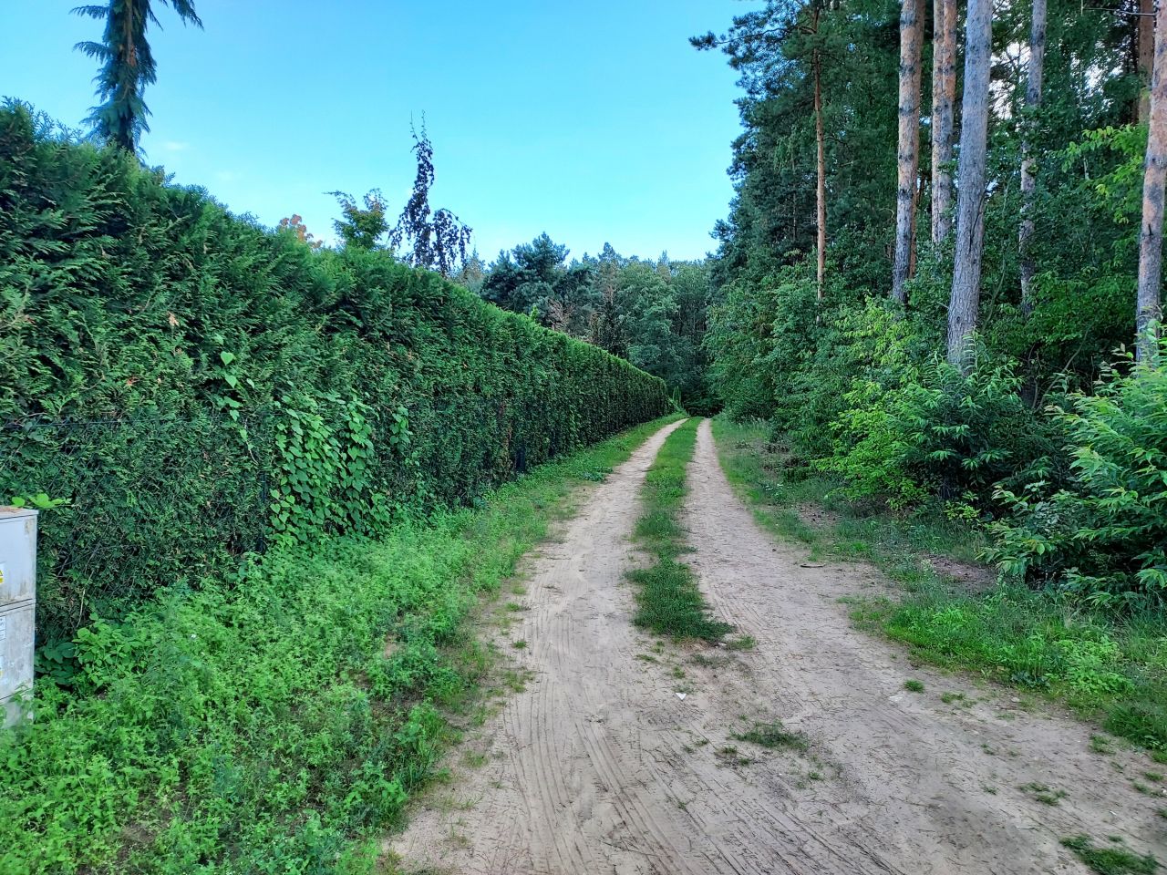 Działka budowlana Marżynek. Zdjęcie 1