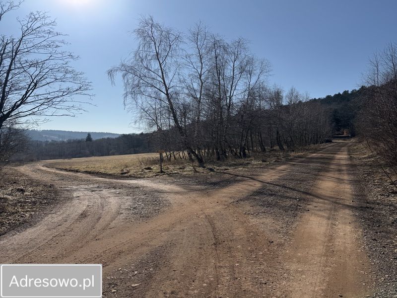 Działka budowlana Grzmiąca. Zdjęcie 2