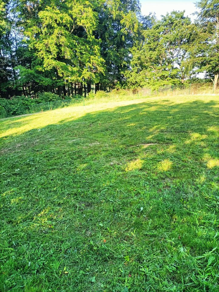 Działka rod Gdańsk Złota Karczma, ul. mjr. Mieczysława Słabego. Zdjęcie 7