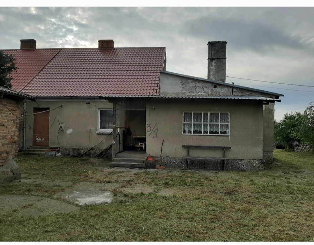 bliźniak Przybysław